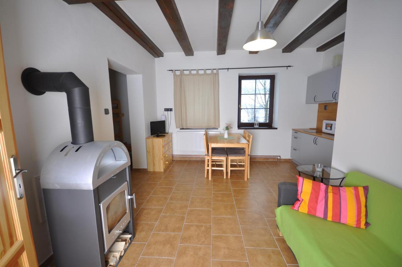 Apartmanove Ubytovani V Koutech Loucna nad Desnou Room photo